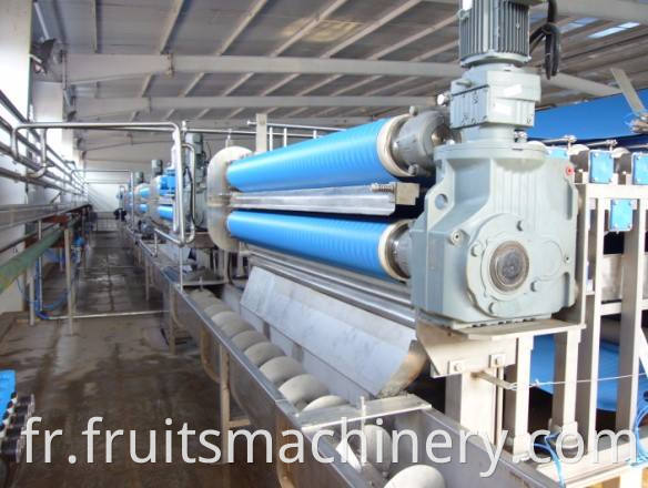 Hot-selling Pomegranate Processing Line Juice And Wine Production